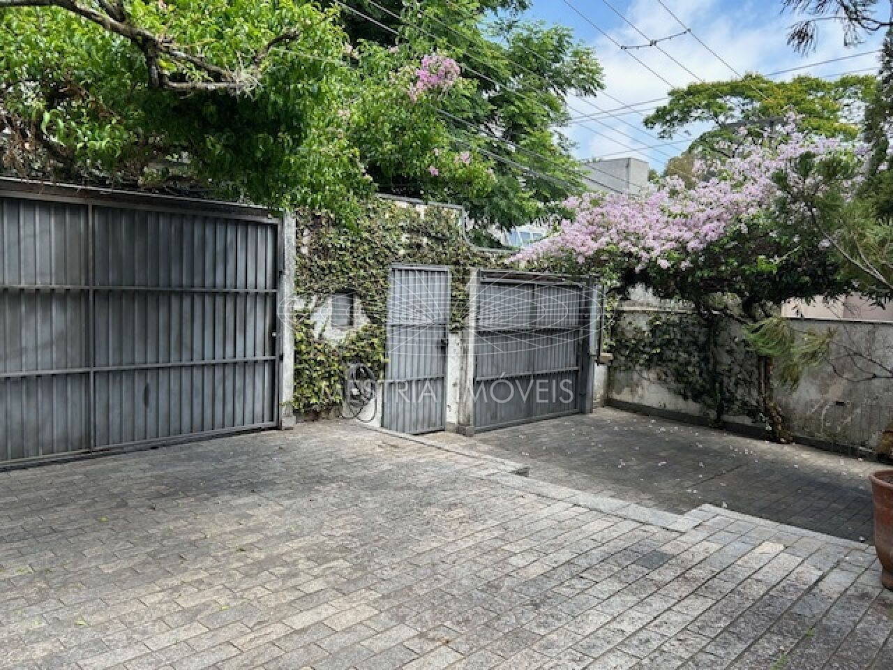 Foto 12 :: DI49206