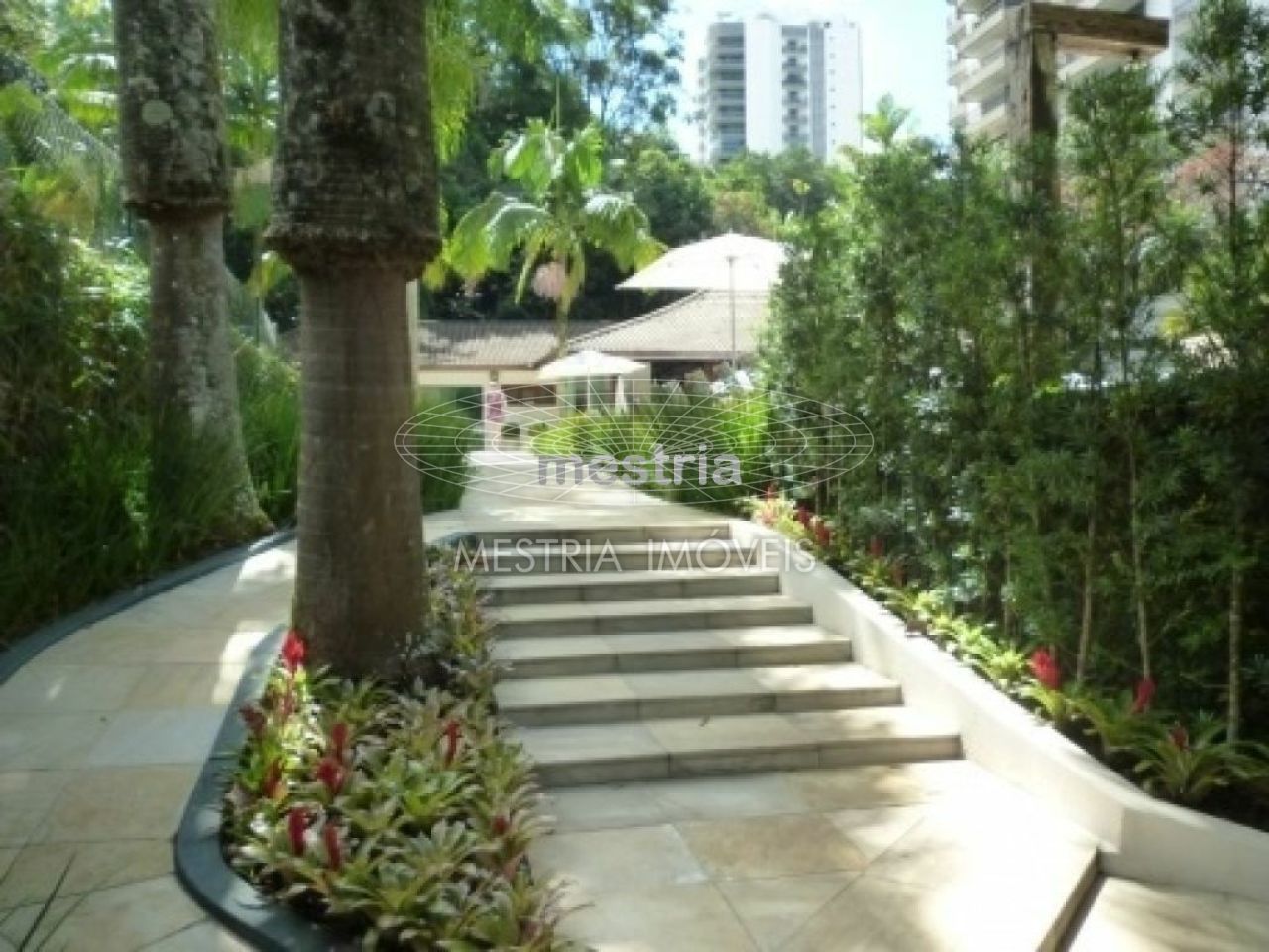Foto 27 :: DI52353
