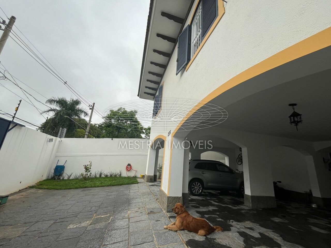 Foto 24 :: DI68542