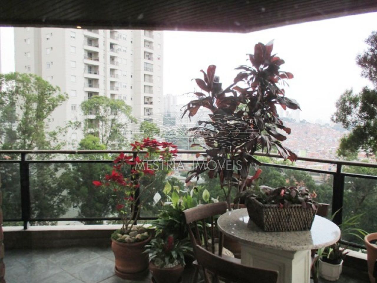 Foto 5 :: DI7403
