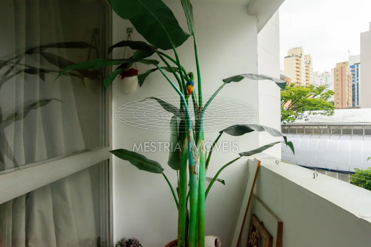 Foto 3 :: DI83172