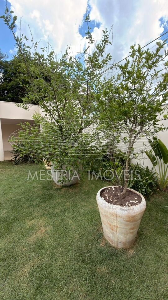 Foto 6 :: DI83570