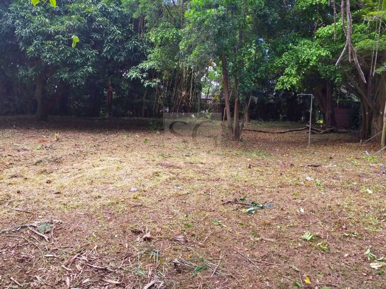 Terreno para Venda - Chácara Flora
