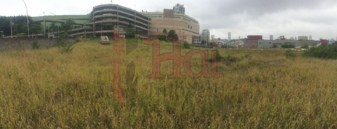 Terreno para Locação - Jardim Anália Franco