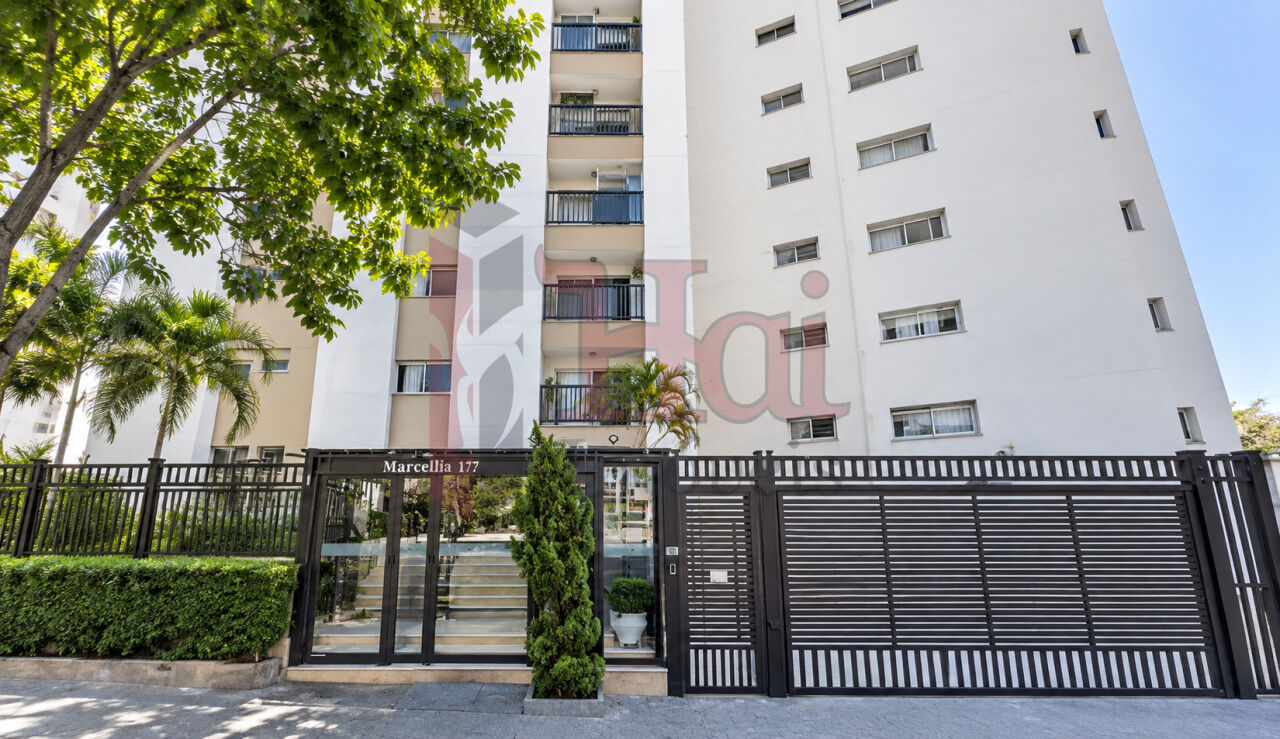 Apartamento para Locação - Santa Cecília