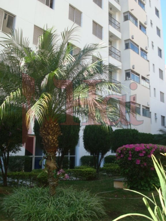 Apartamento para Venda - Barra Funda