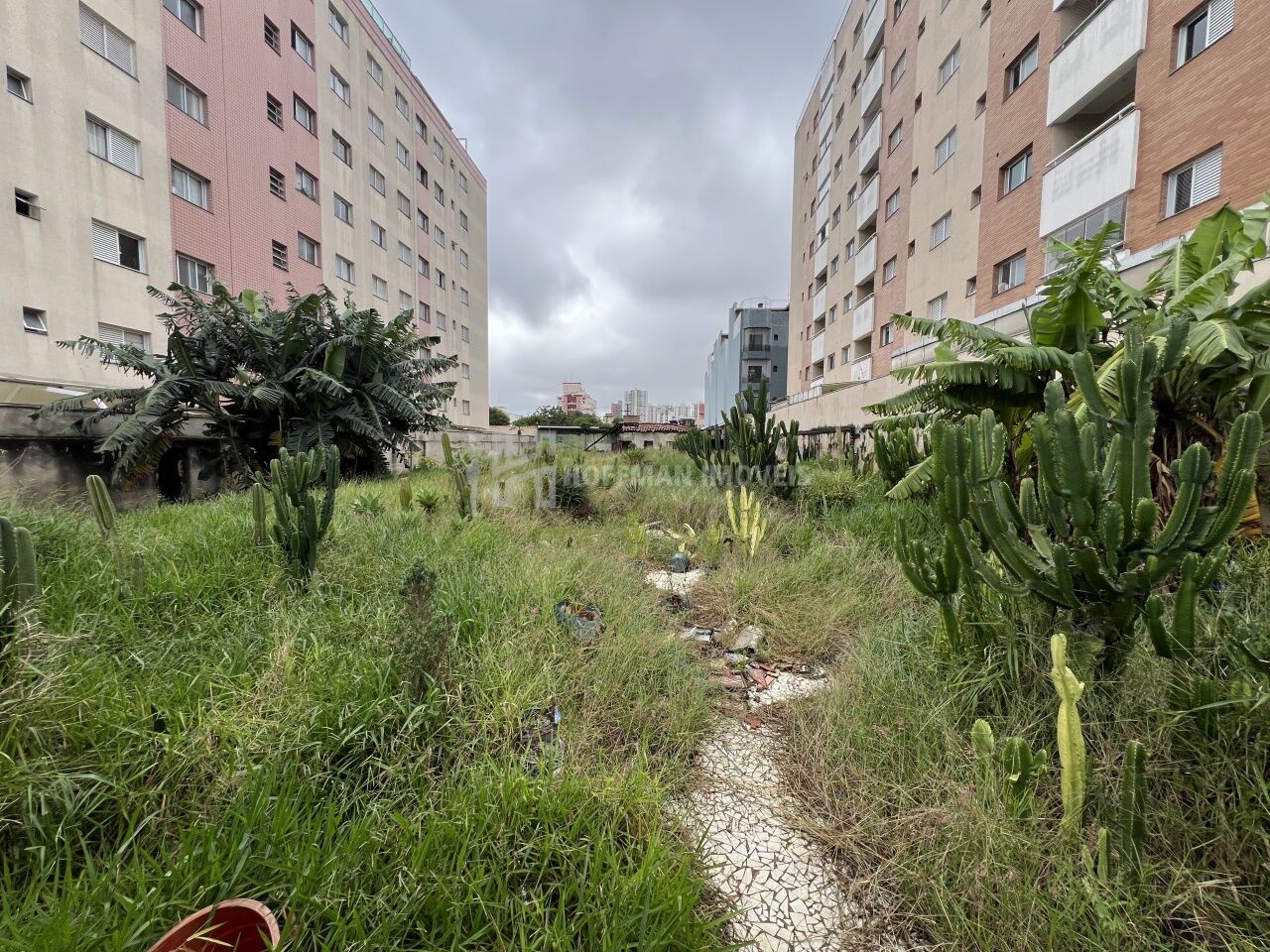 Terreno para Venda - Santa Maria