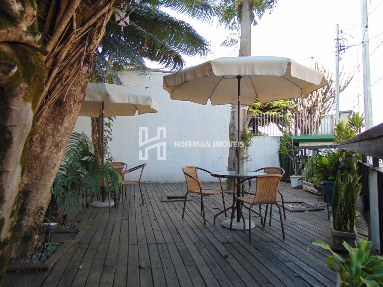Salao Comercial para Venda - Santa Paula