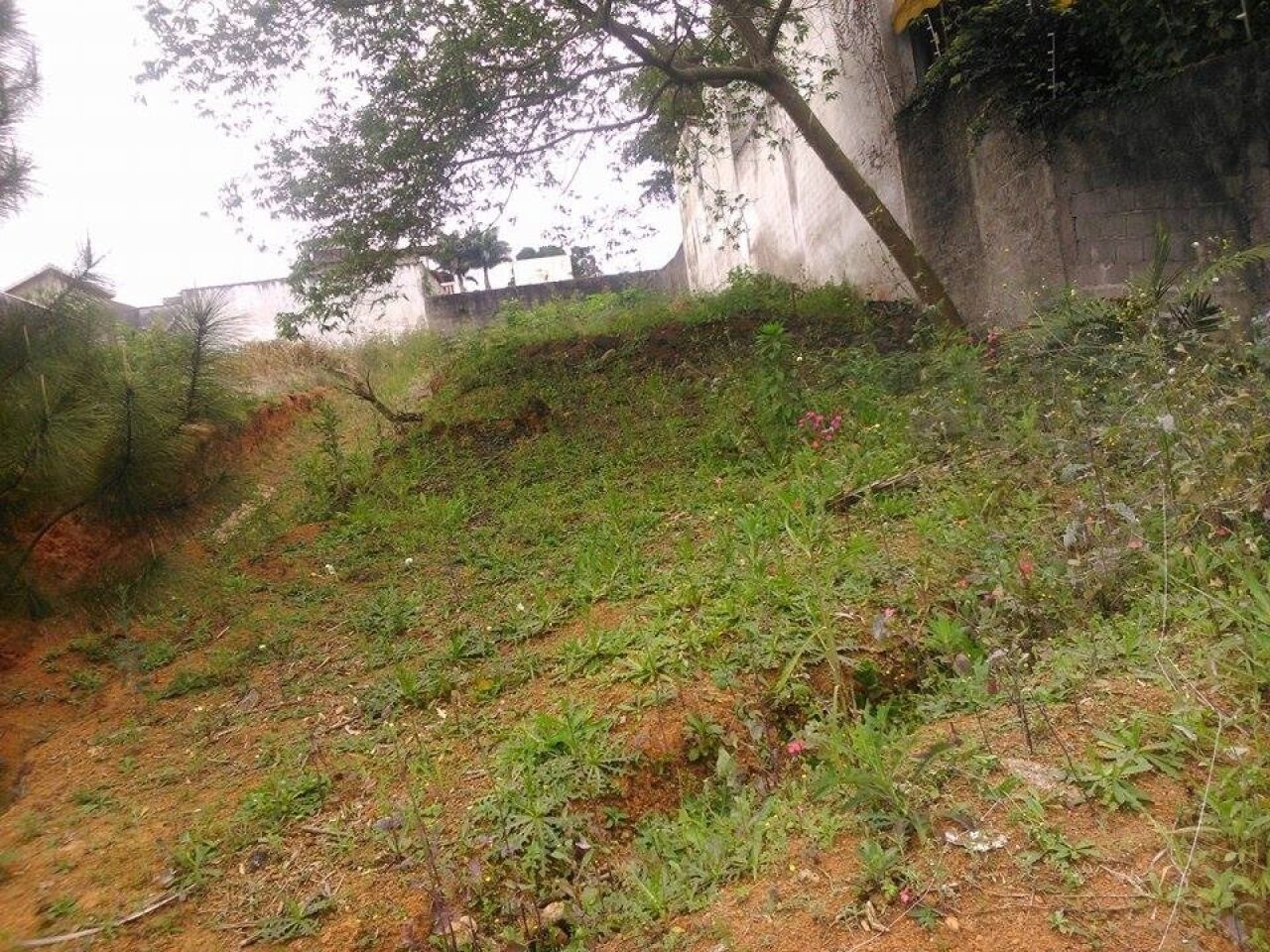 Terreno para Venda - Vila Nova Socorro