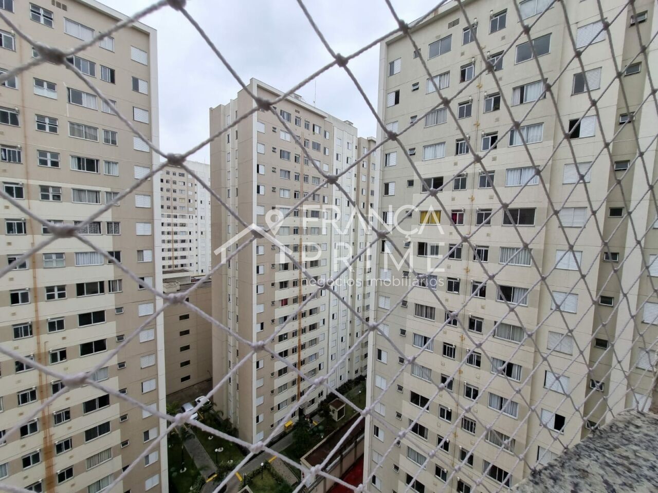 Foto 20