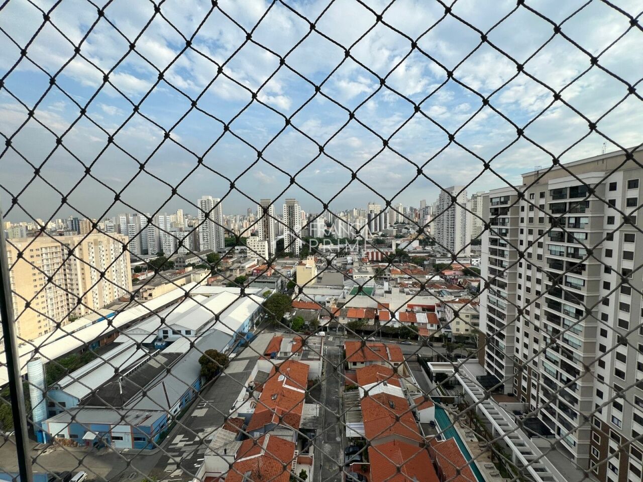 Foto 20