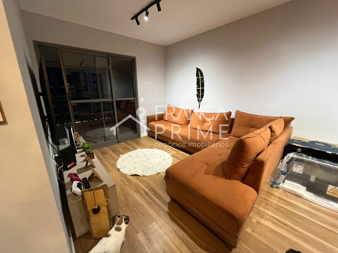 Foto 11