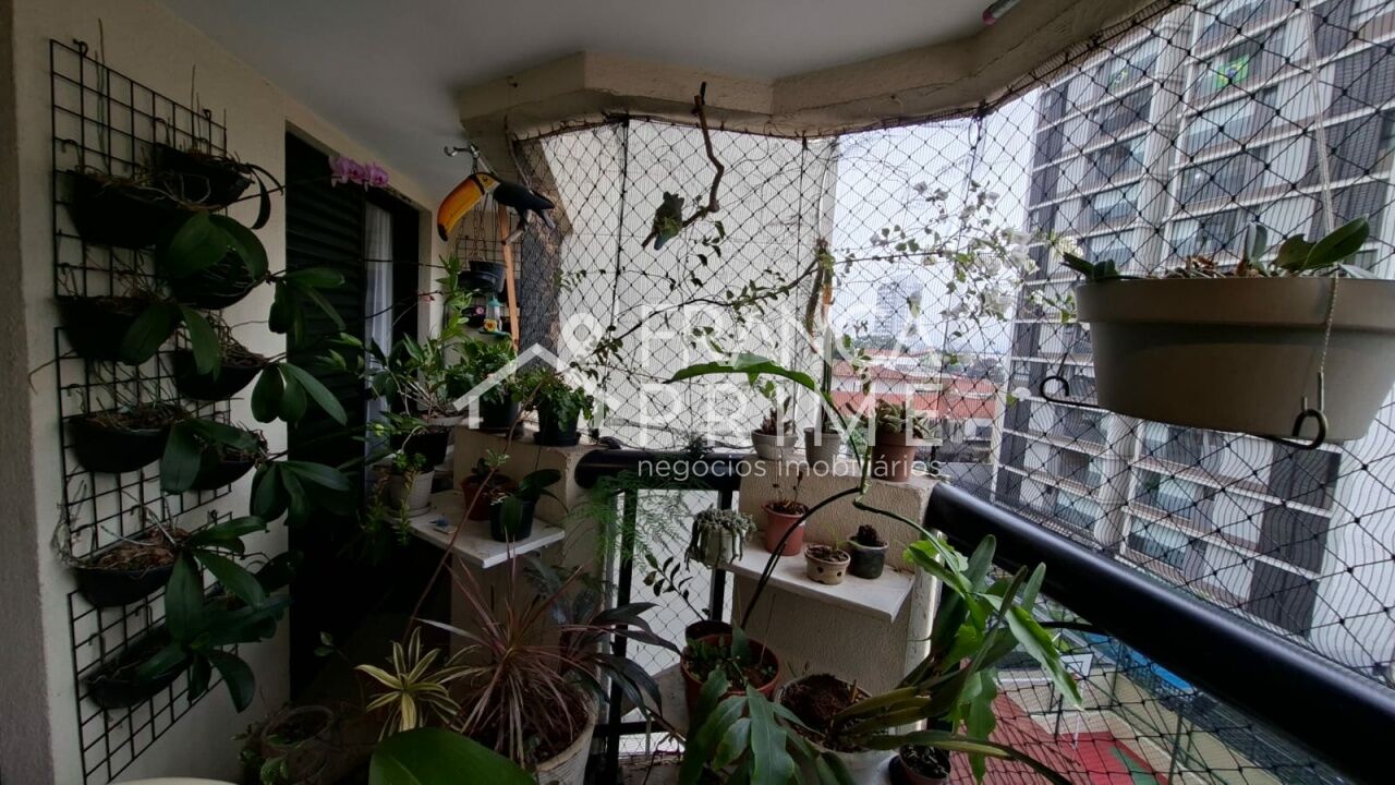 Foto 25