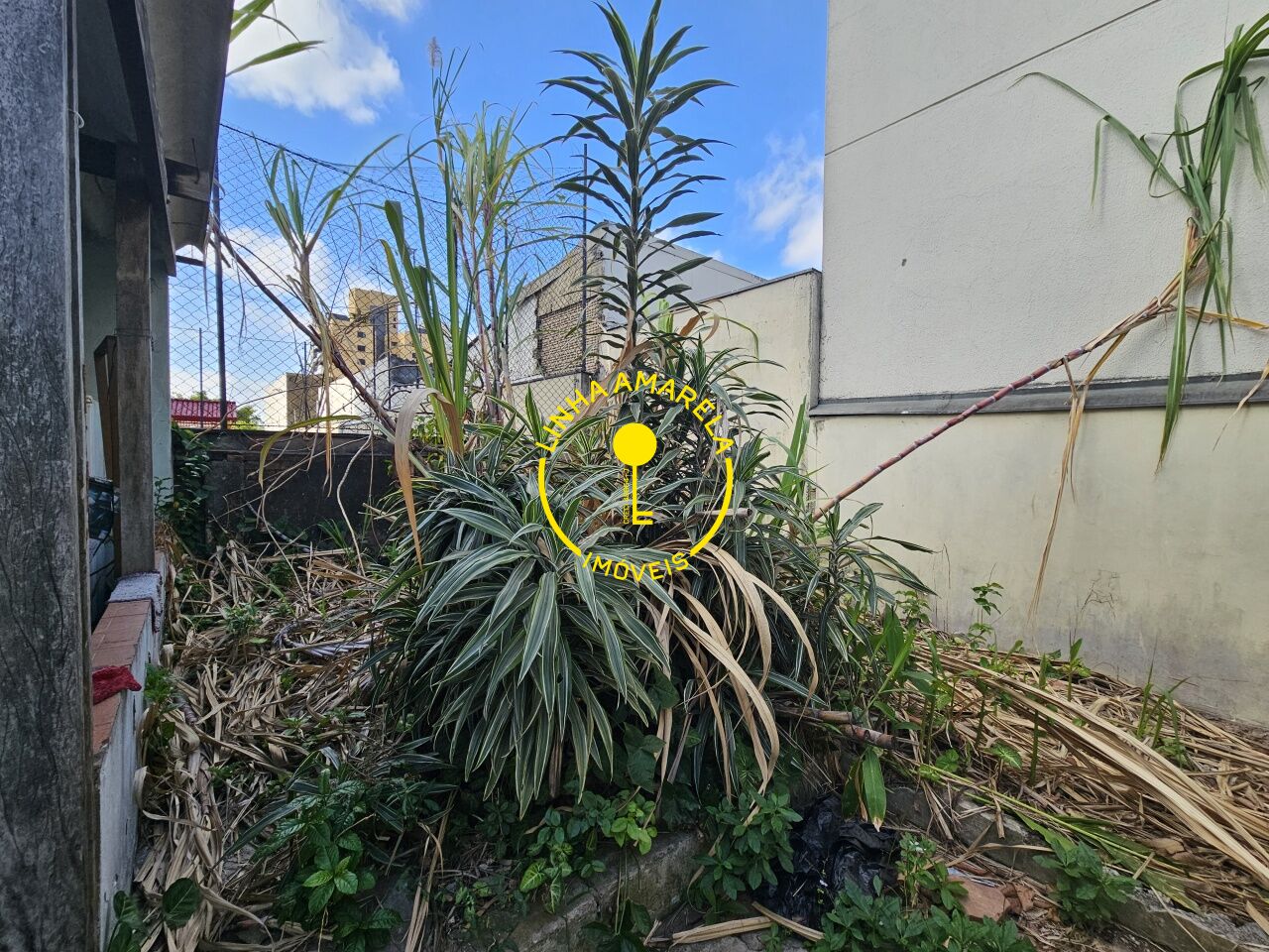 Foto 10 — Casa Térrea em Jardim Guedala