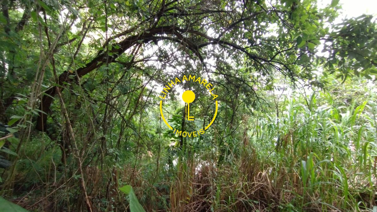 Foto 11 — Terreno em Vila Suzana