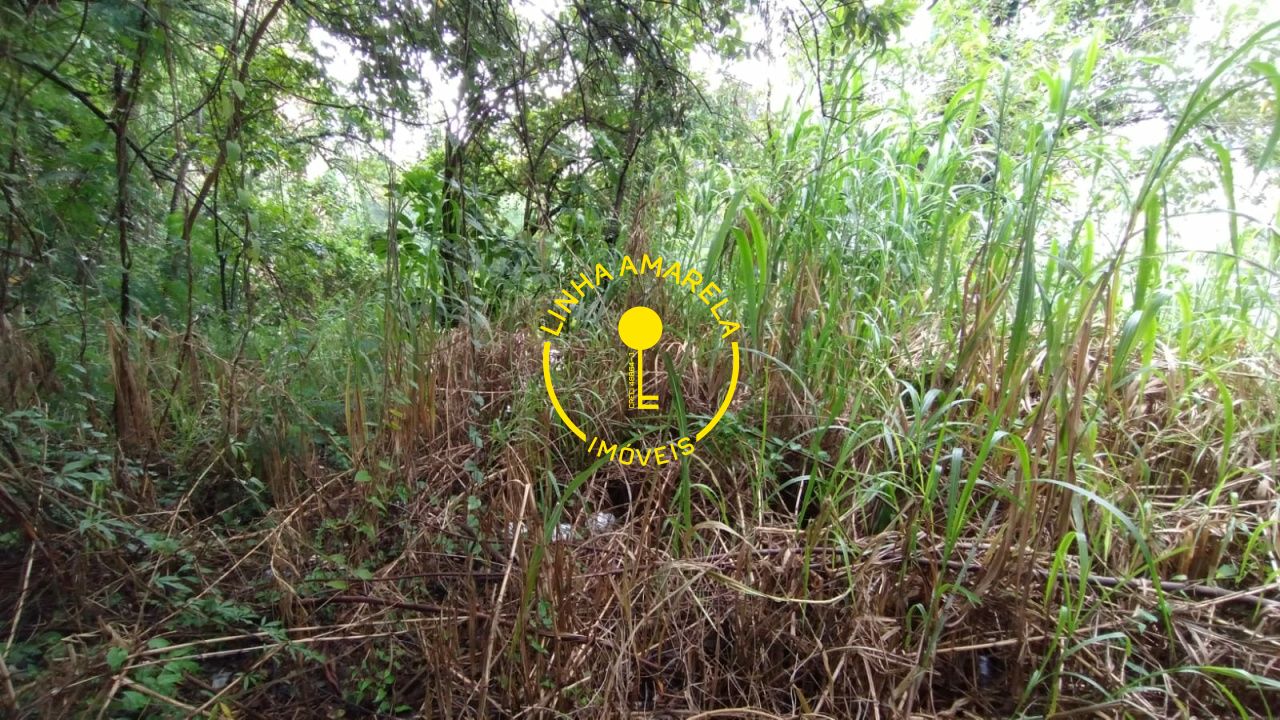 Foto 12 — Terreno em Vila Suzana