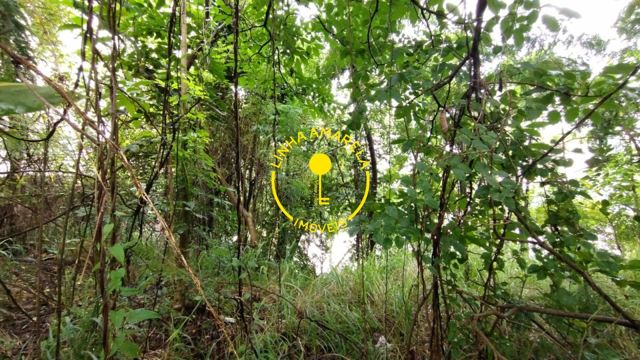 Foto 14 — Terreno em Vila Suzana