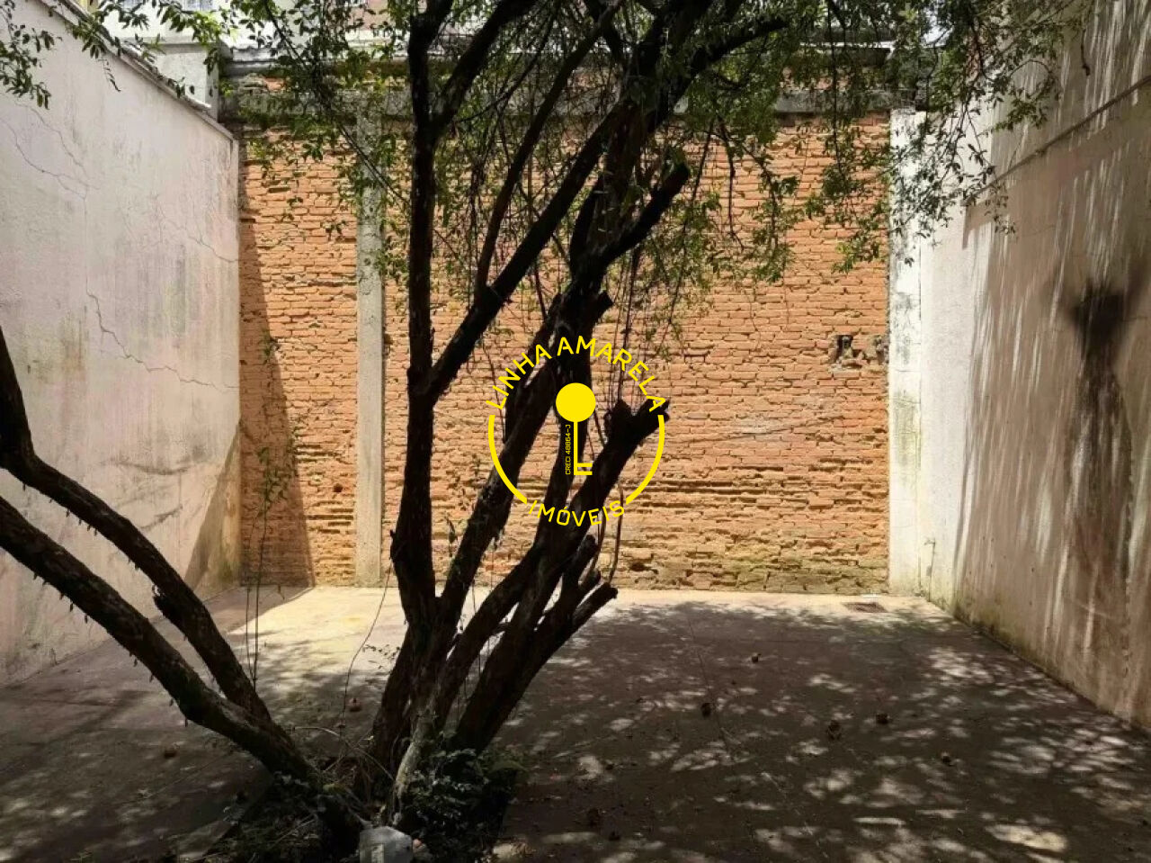 Foto 4 — Galpão em Butantã