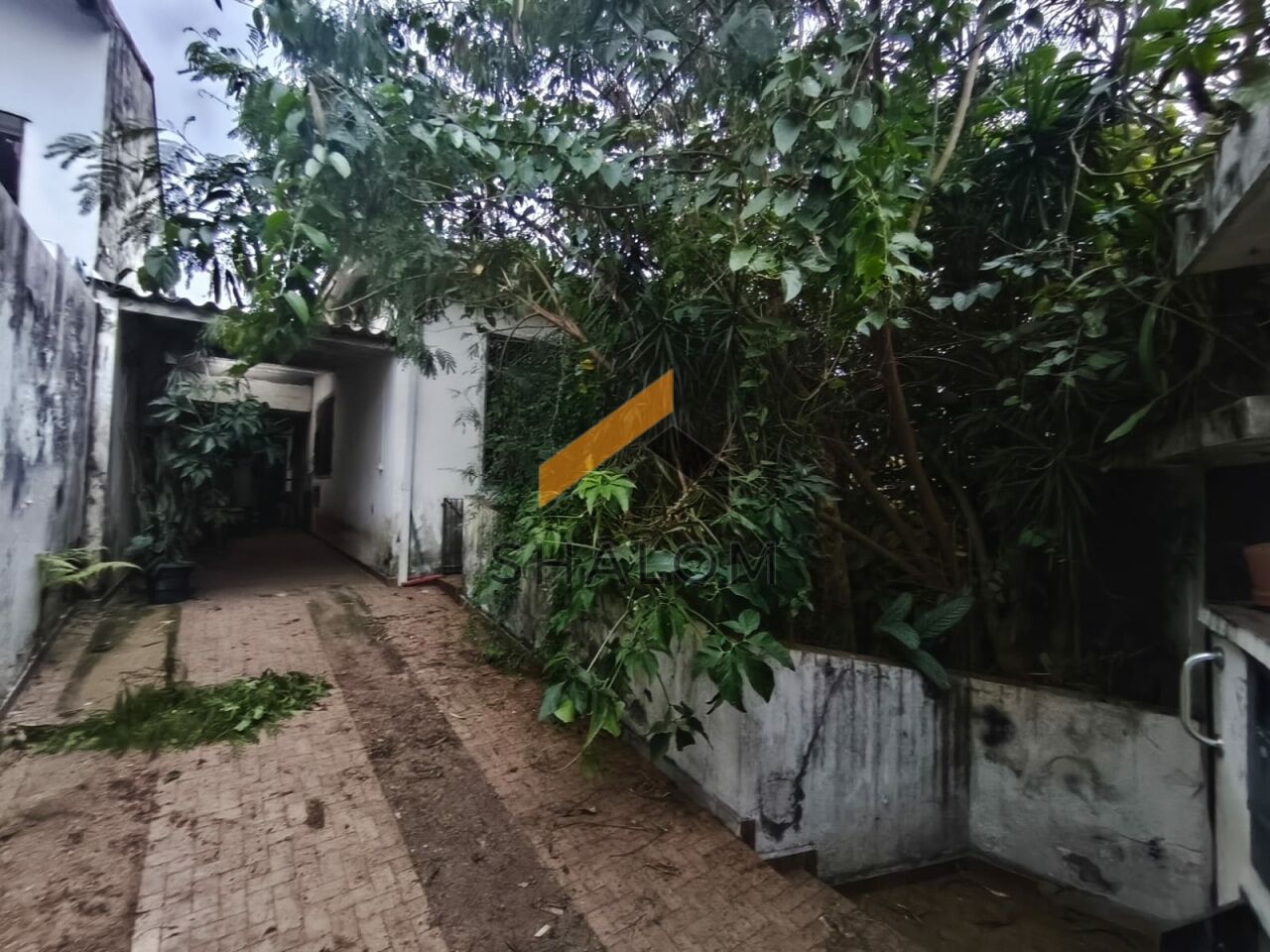Casa Térrea para Venda - Instituto de Previdência