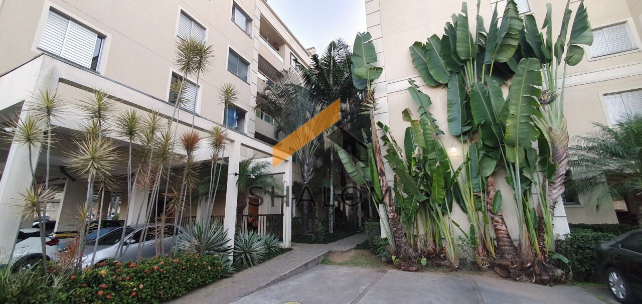 Apartamento para Venda - Paraisópolis