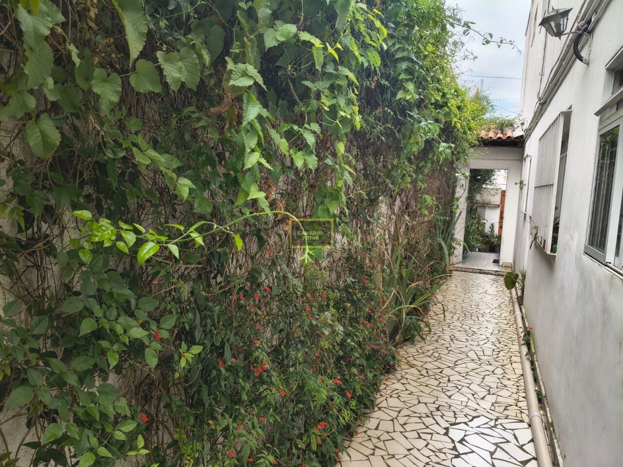 Residencial - Casa — foto 3