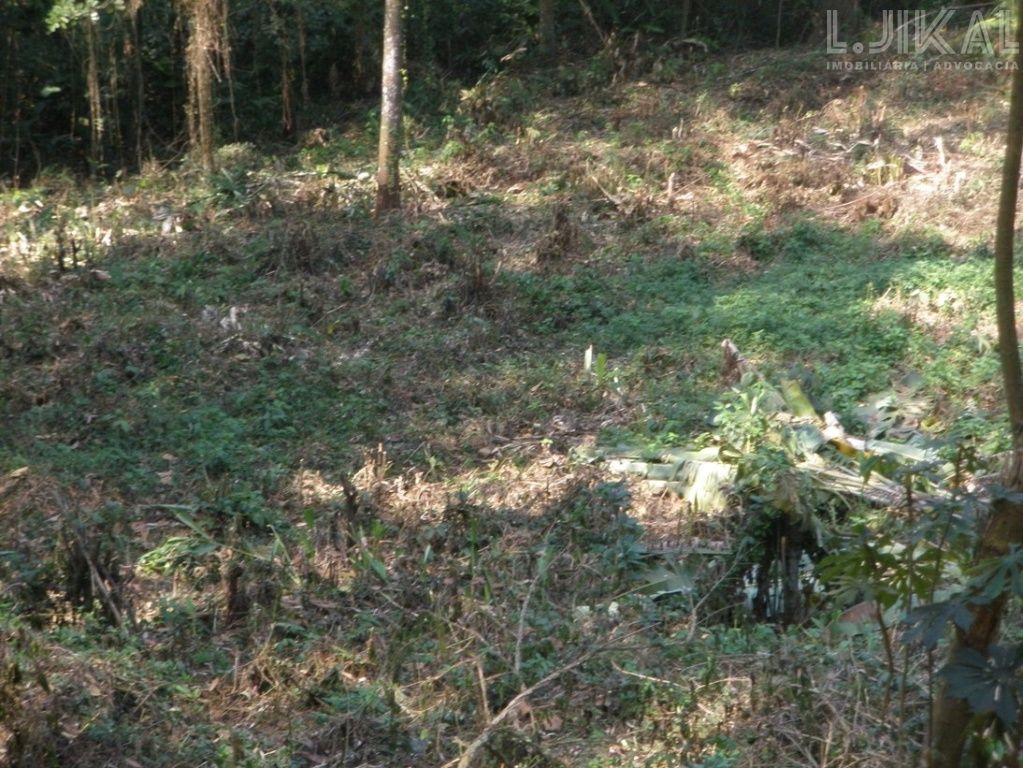 Terreno para Venda - Tucuruvi