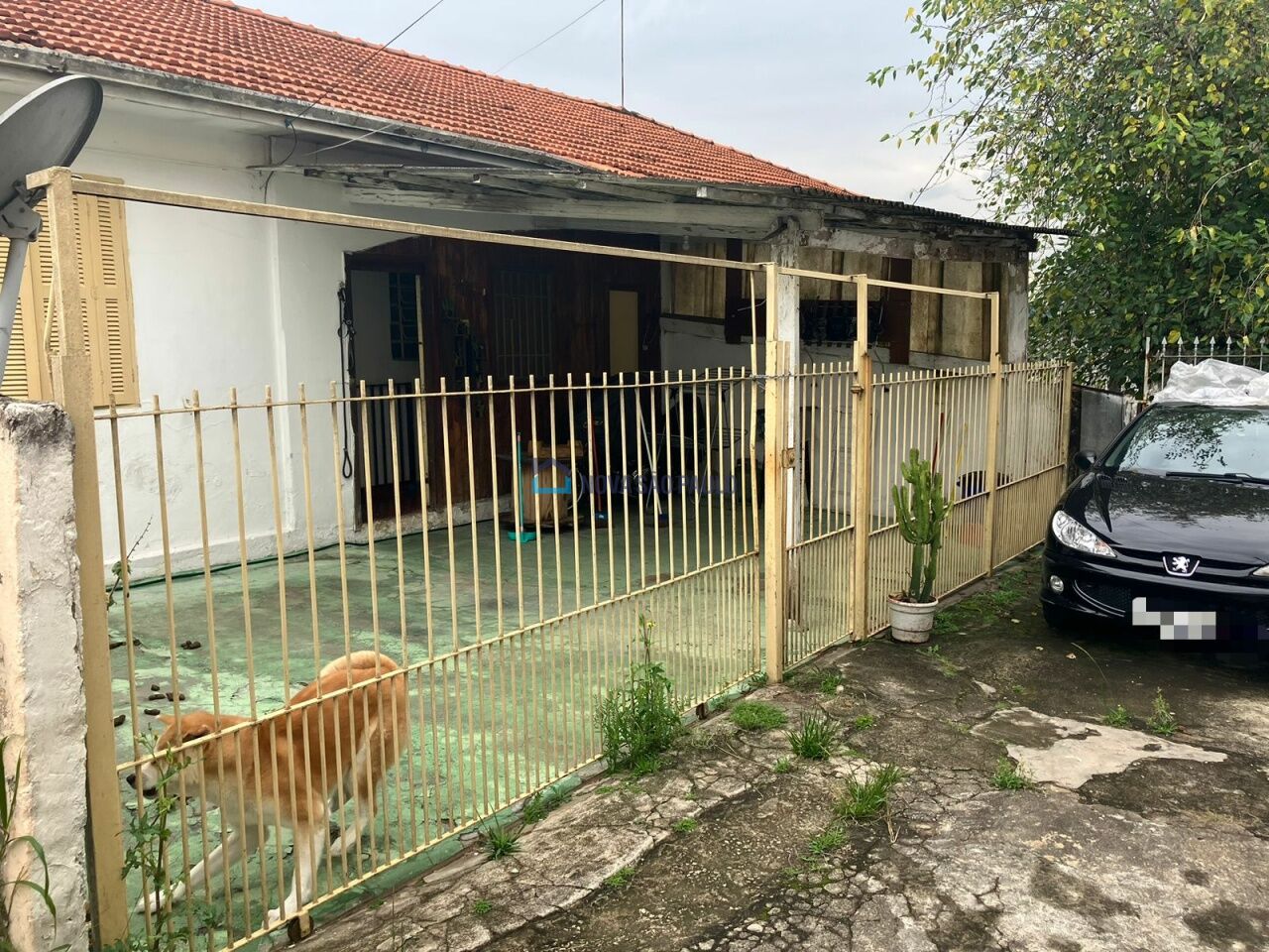 Foto 6 - BI35058