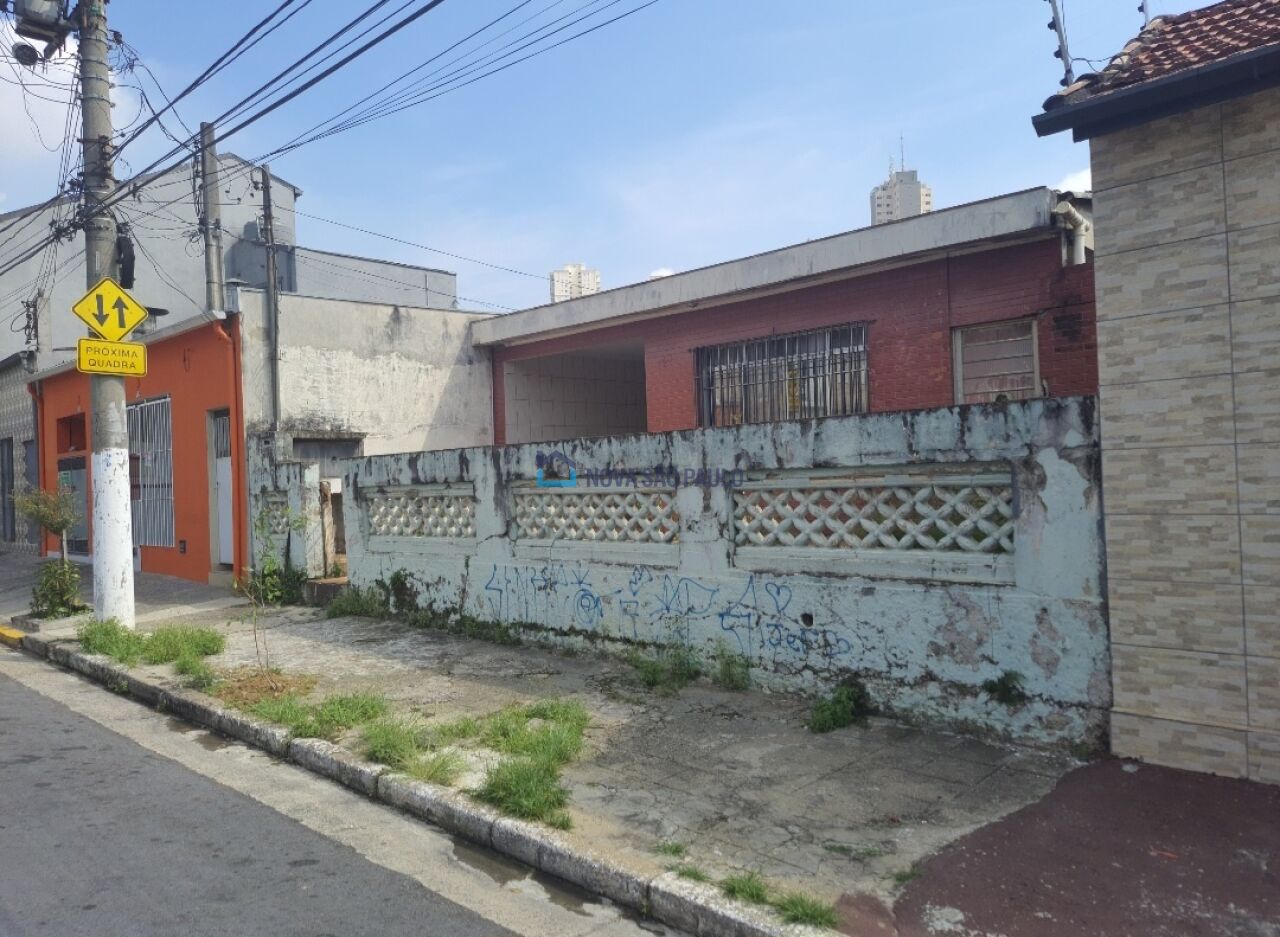 Foto 3 - BI42781