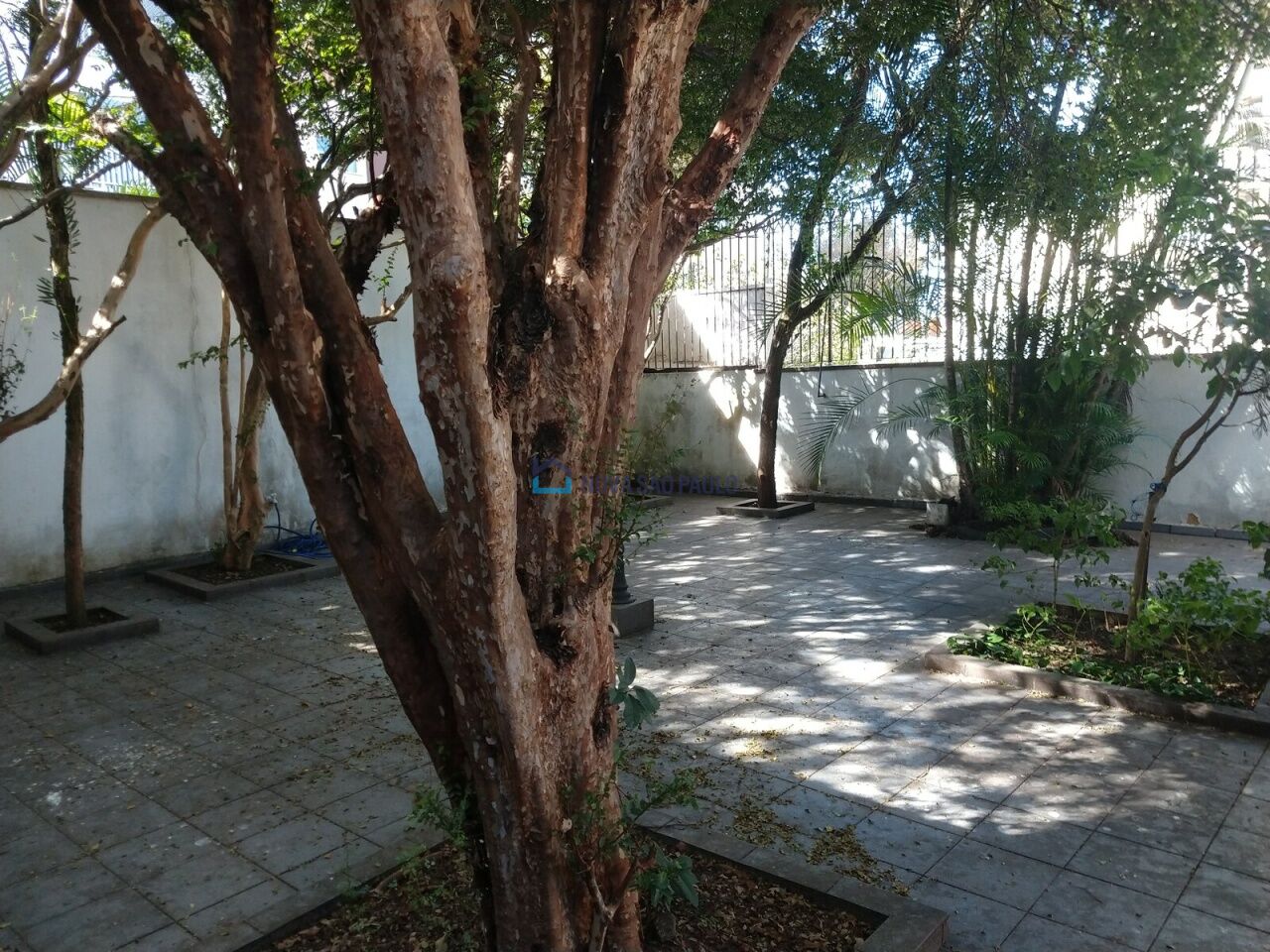 Foto 22 - BI43659