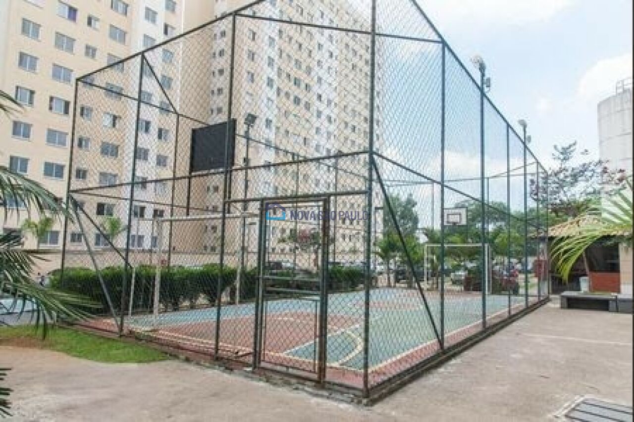 Foto 14 - BI43817