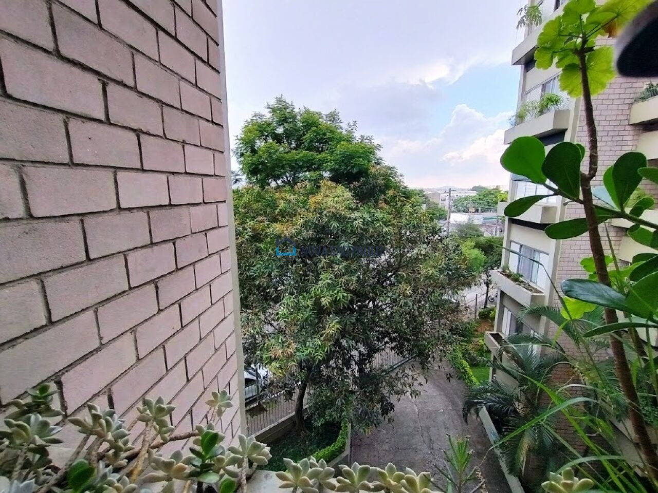 Foto 6 - BI45619