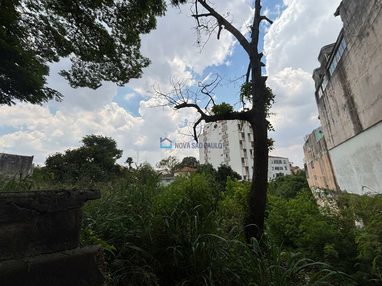 Foto 11 - BI46035