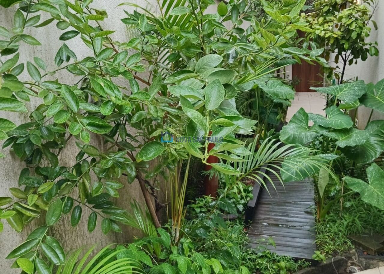 Foto 23 - BI46229
