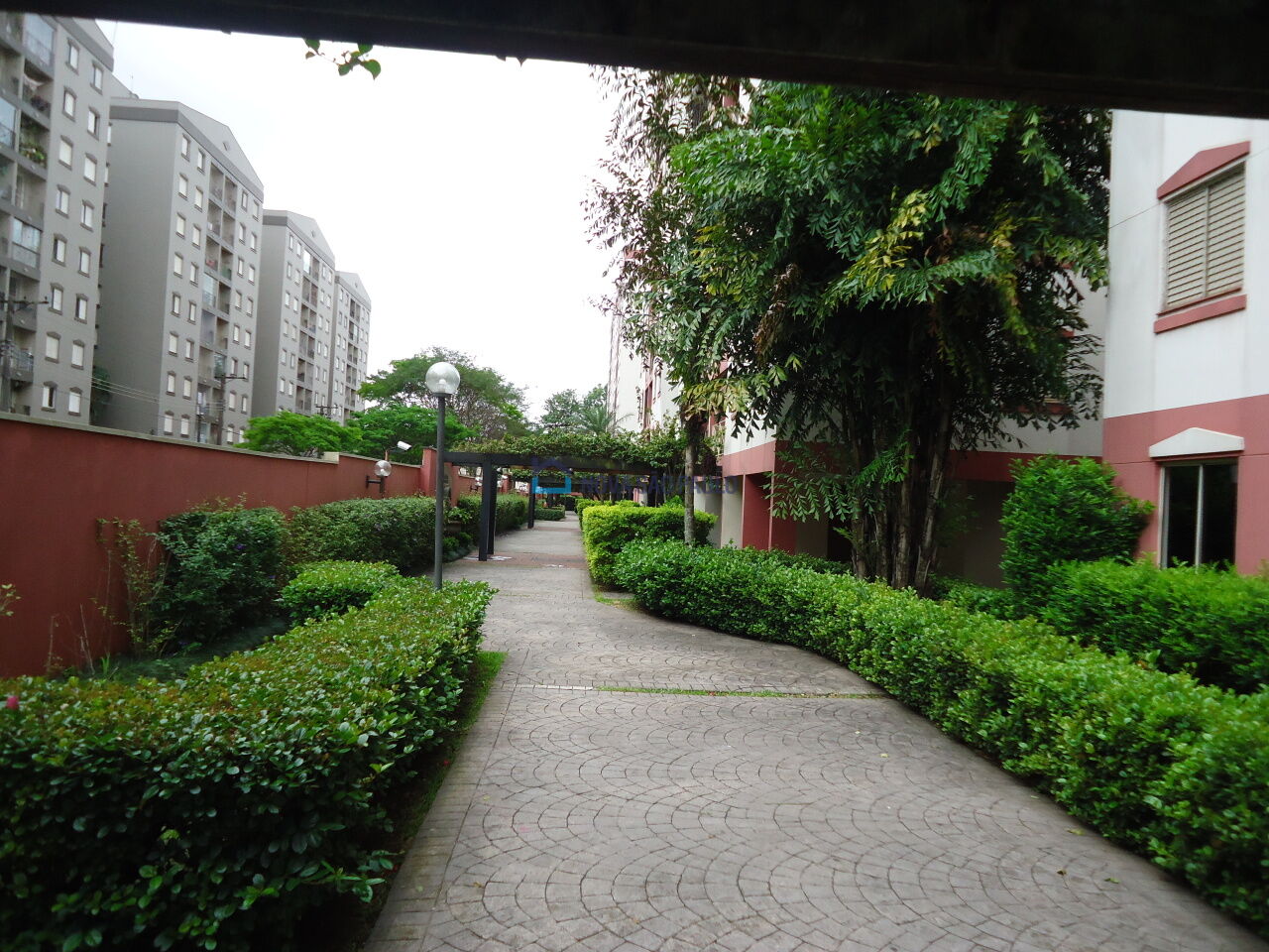 Foto 35 - BI49055