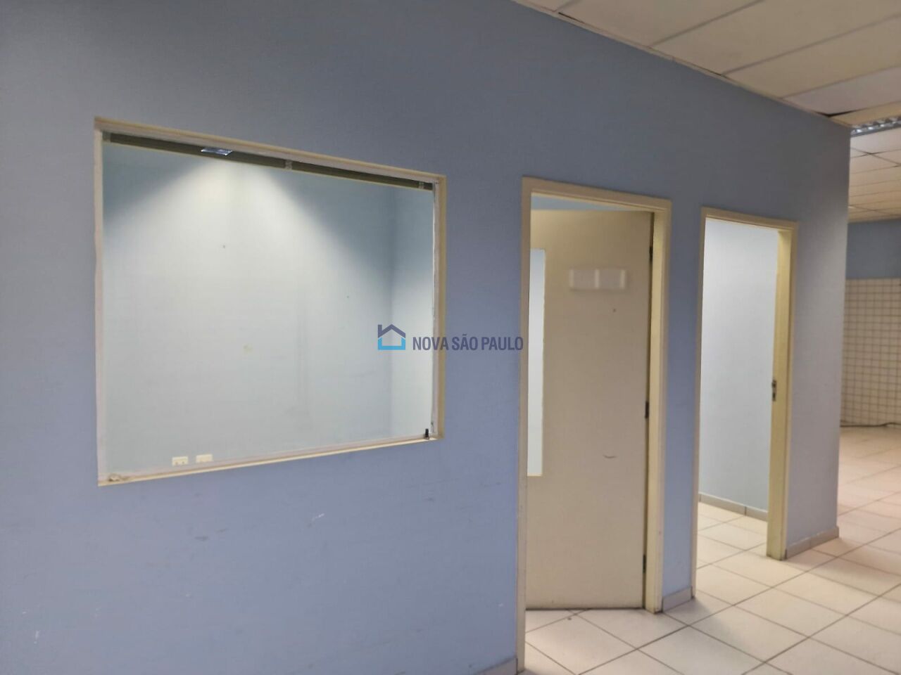 Foto 49 - BI49271