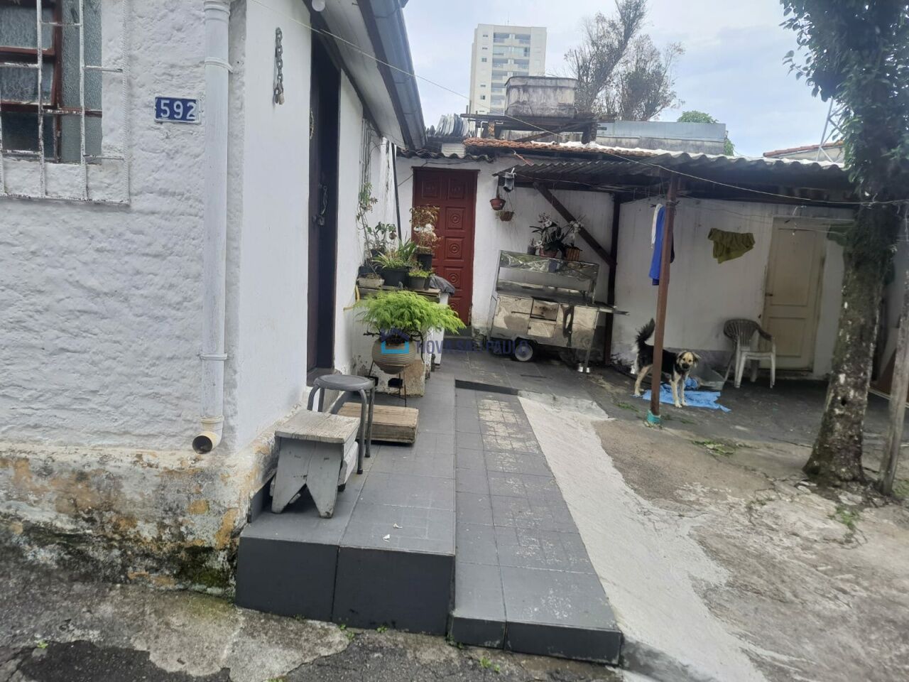 Foto 13 - BI49346