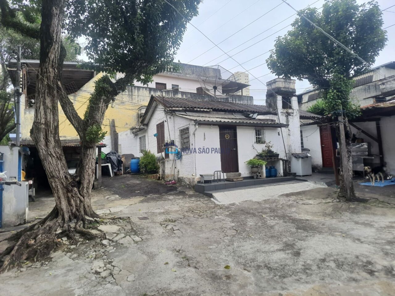 Foto 4 - BI49346
