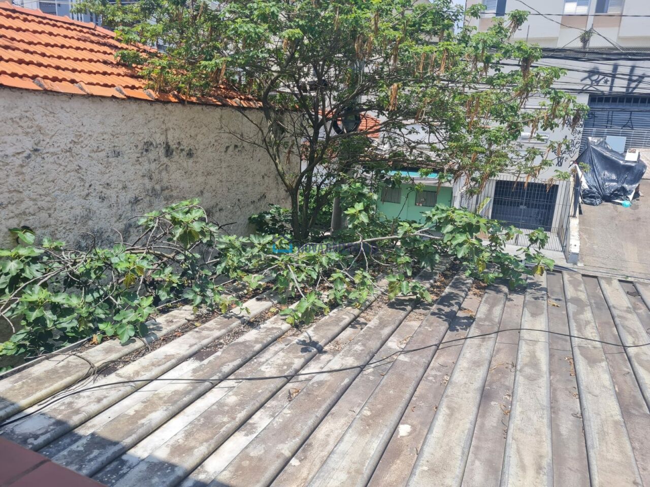 Foto 38 - BI49566