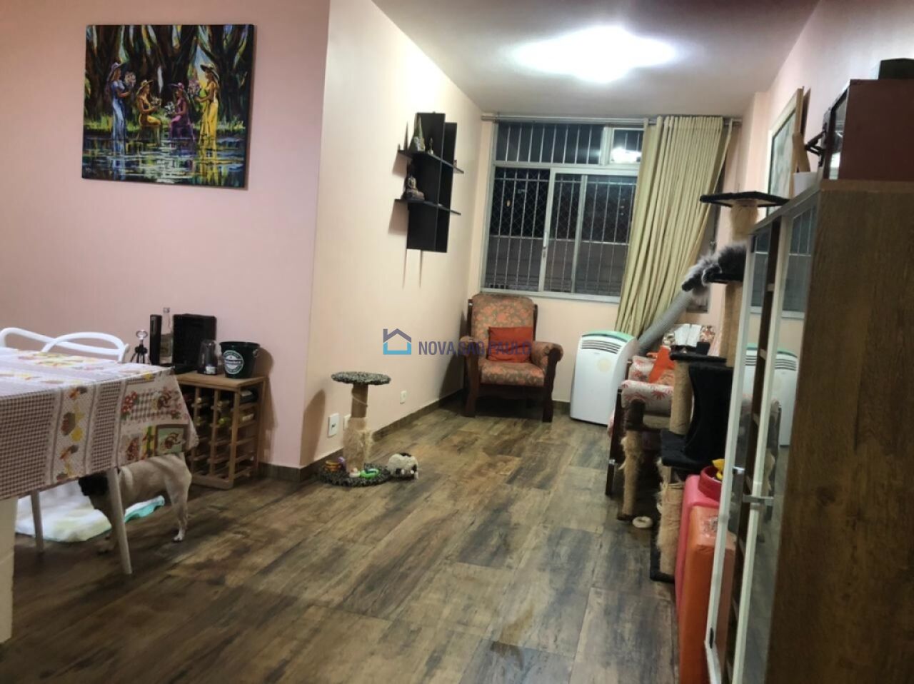 Foto 3 - BI49692