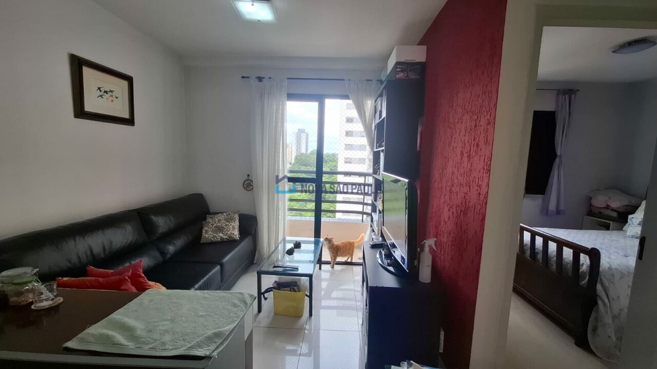 Foto 8 - BI50005