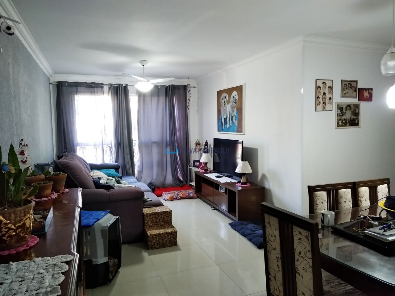 Foto 3 - BI50247