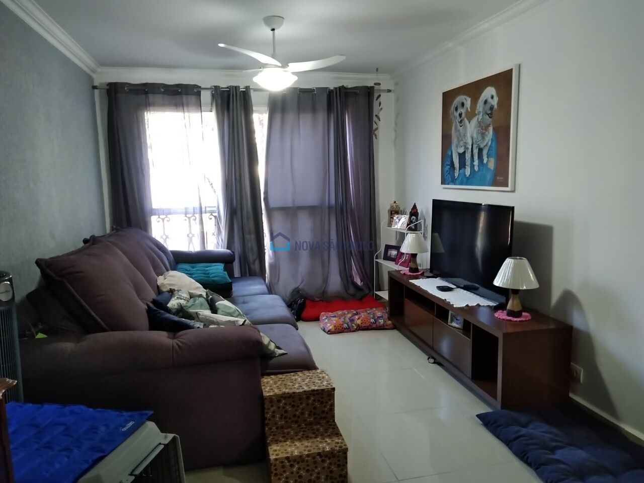 Foto 4 - BI50247