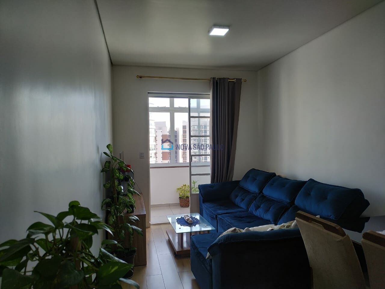 Foto 2 - BI50470