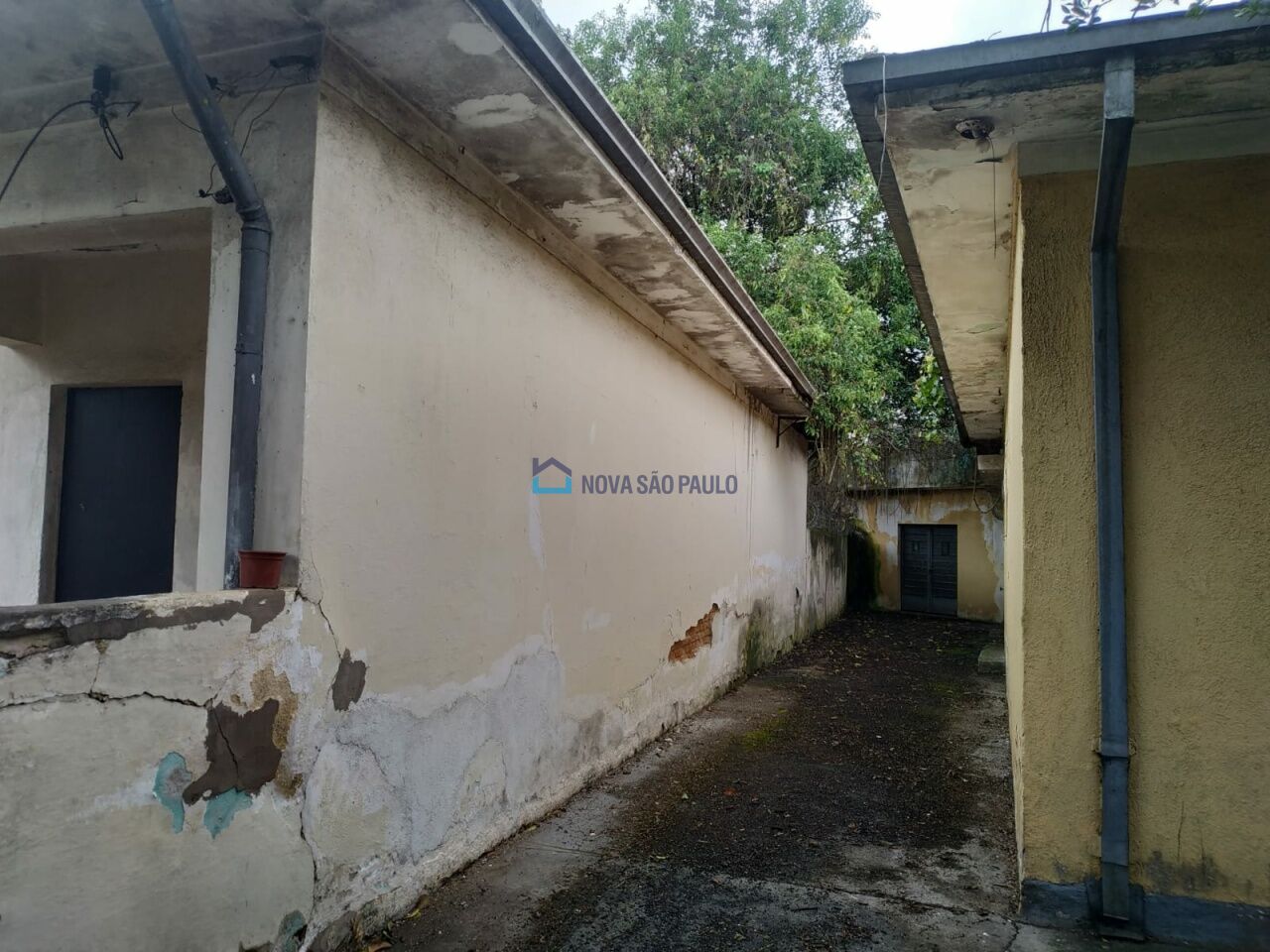 Foto 6 - BI50498