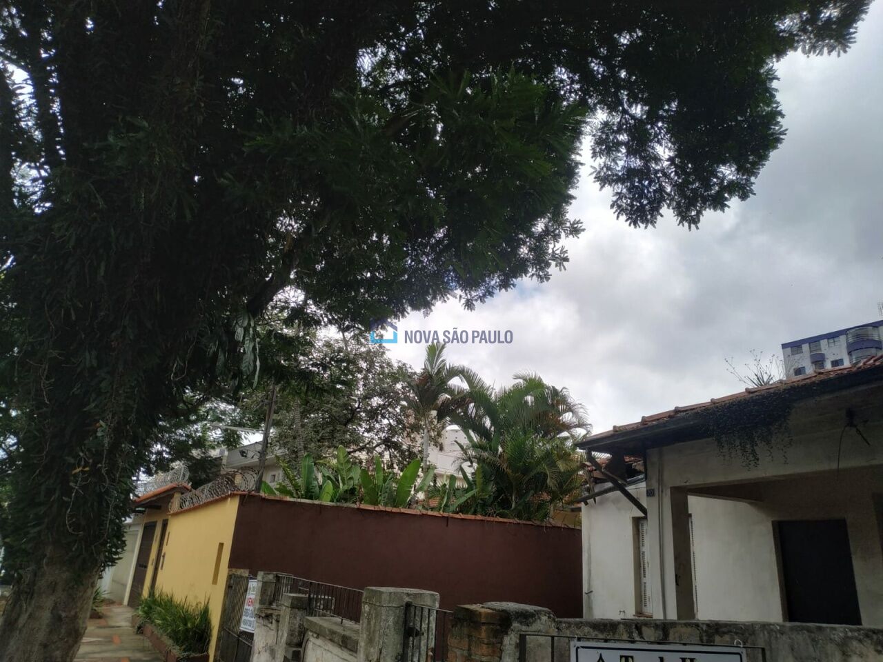Foto 8 - BI50498