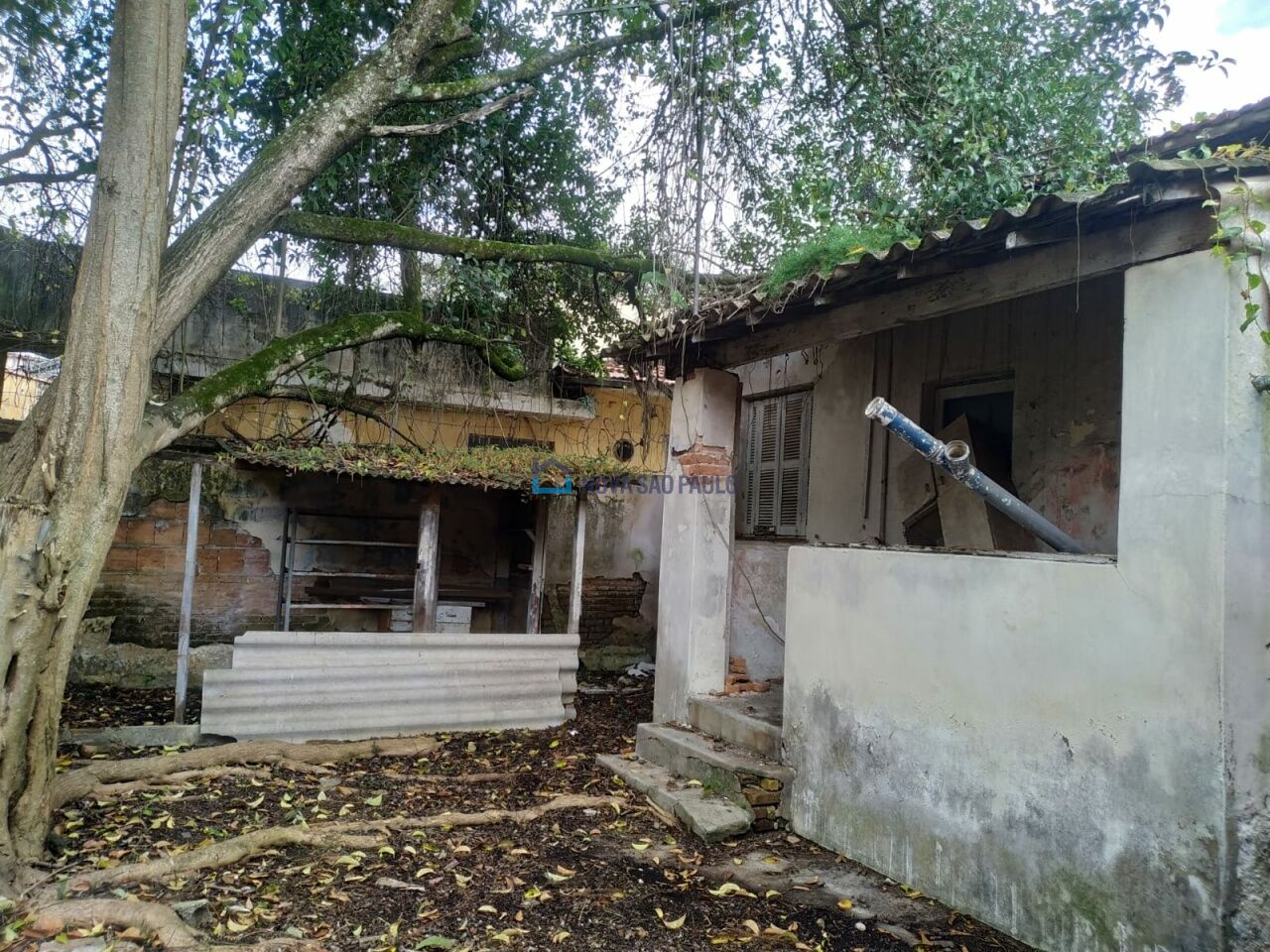 Foto 9 - BI50499