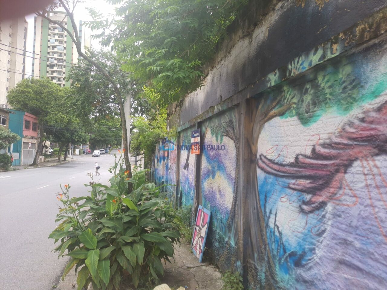 Foto 5 - BI50511