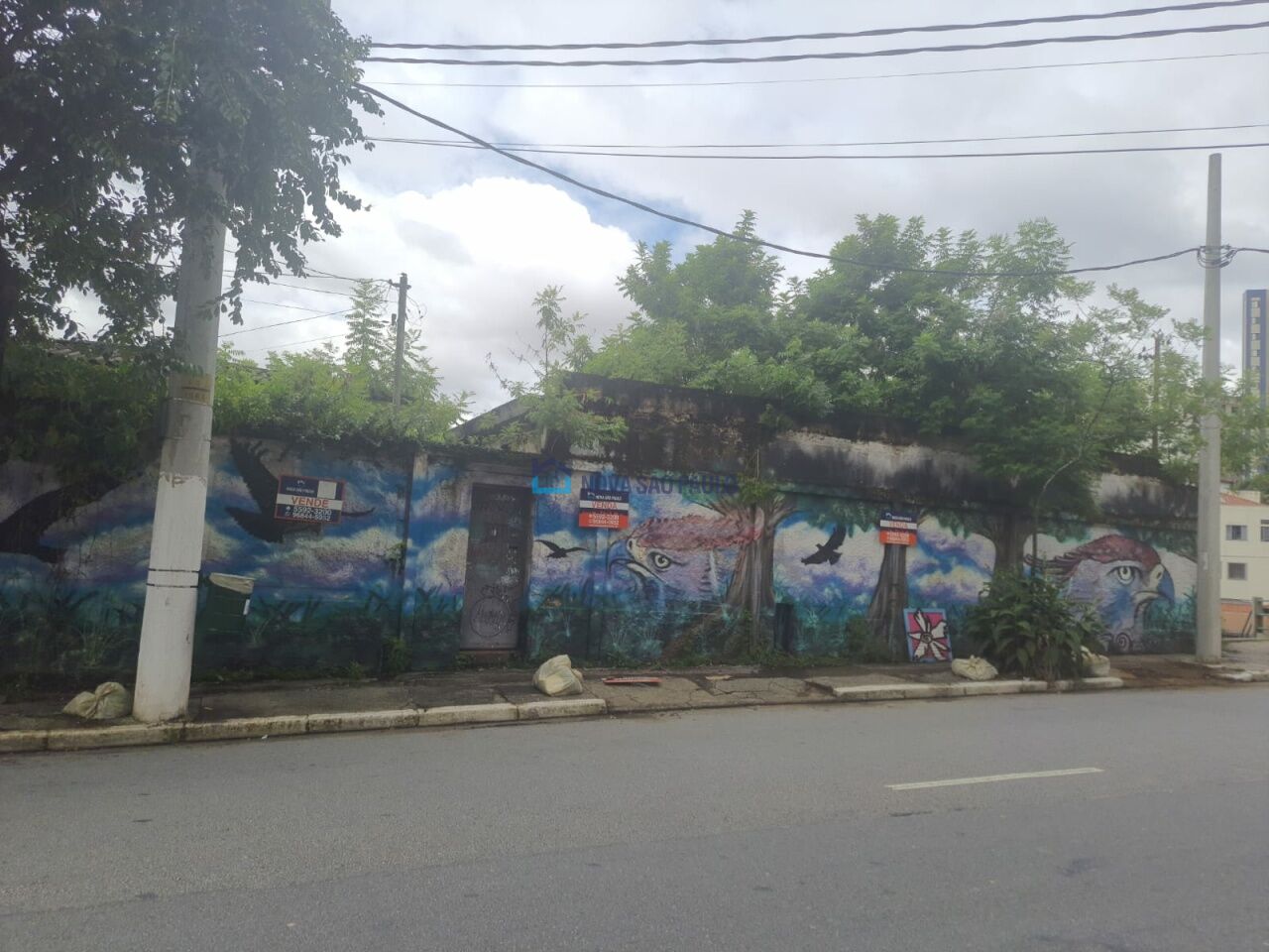 Foto 3 - BI50511