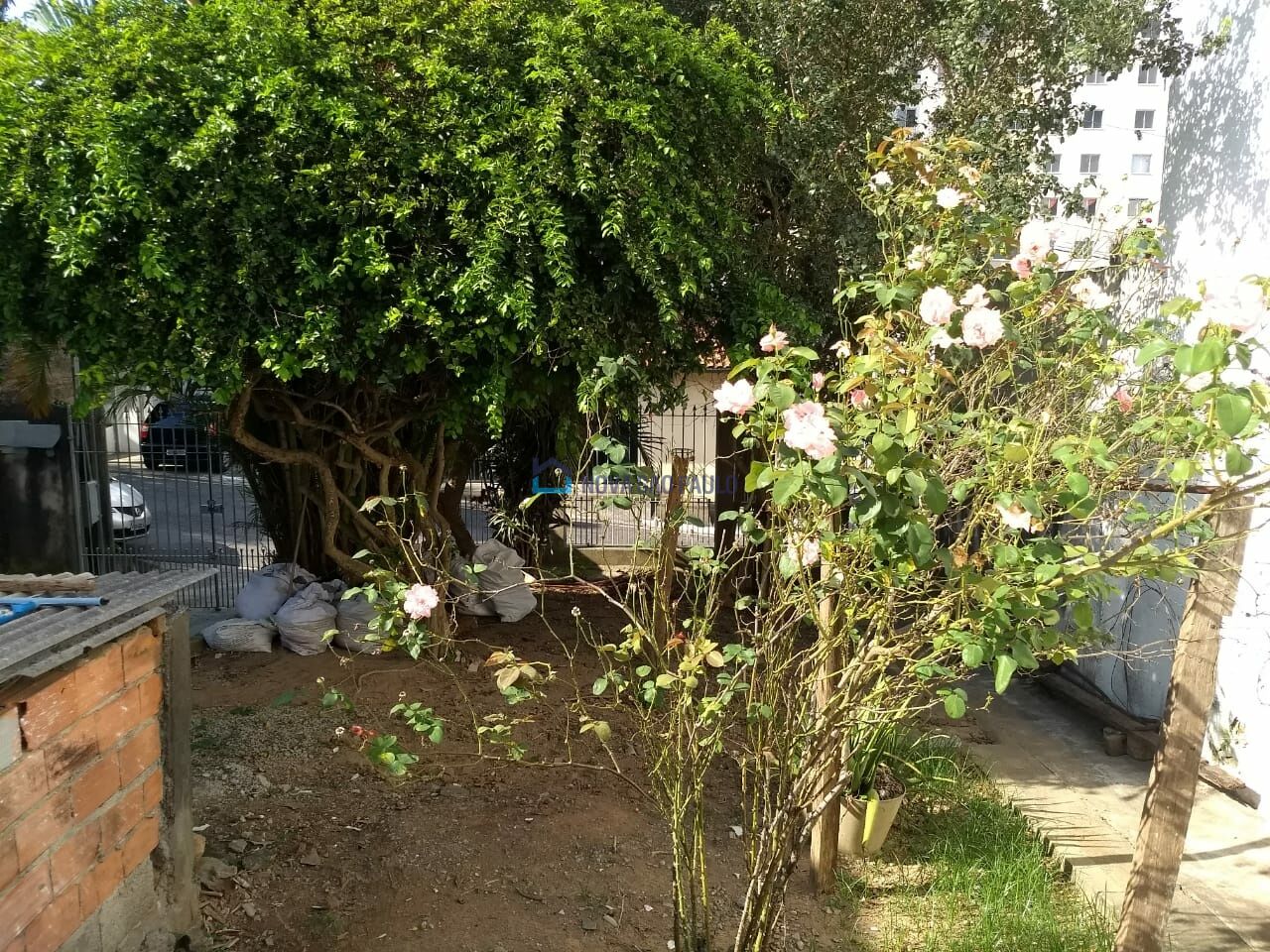 Foto 5 - BI51504