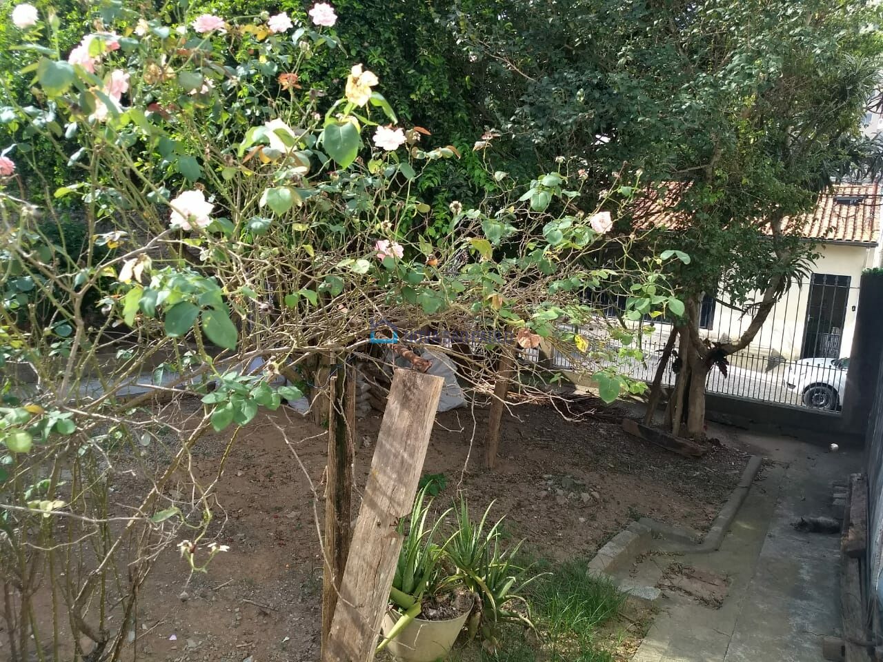 Foto 6 - BI51504